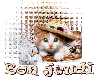 Gif animé Bon jeudi chat
